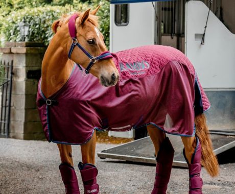 All Horse Clothing
