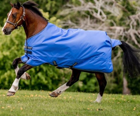 Horse Rugs